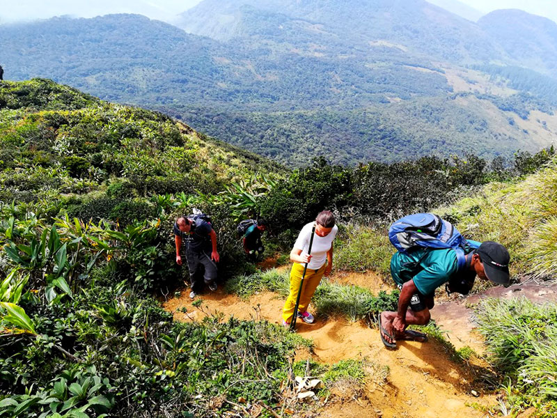 Trek in Sinharaja - Rain Forest Tours in Sri Lanka - Rain Forest Trekking Tours - Forest Reserve in Sri Lanka - Rain forest exploration tours in Sri Lanka - Rain Forest Trekking - Rain Forest Reserve