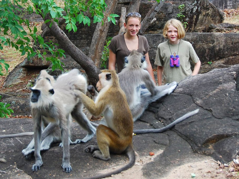 Tours in Sri Lanka, Tours to Sri Lanka, Sri Lanka Tour Packages, Sri Lanka Holidays, Holidays in Sri Lanka, Sri Lanka Beach Holidays